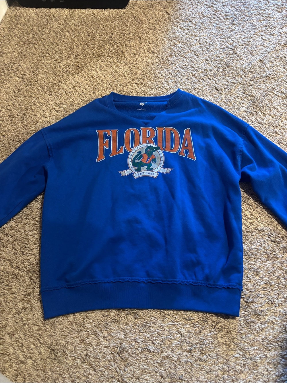 Hollister Royal Blue Florida Graphic Crewneck Sweatshirt